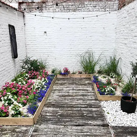 My Catiau * Де Панбархат